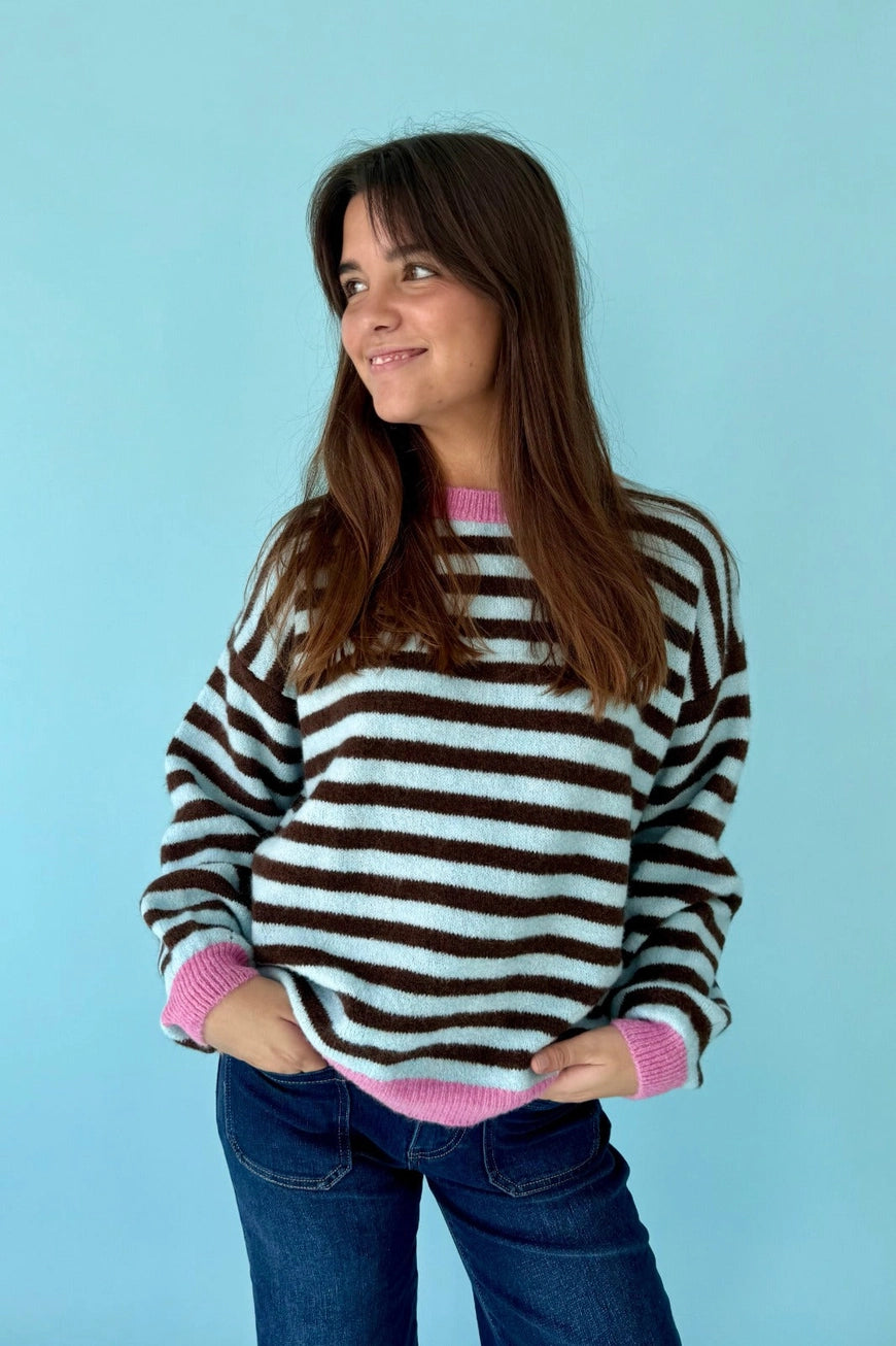 COTTON TREAT MINDTRAVELER TRUI JERSEY PIA | BRUIN/BLAUW/ROZE